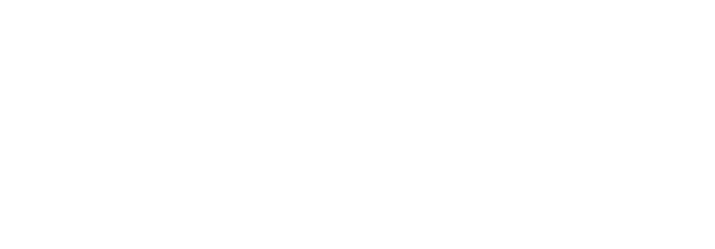 ARY Holding Logo